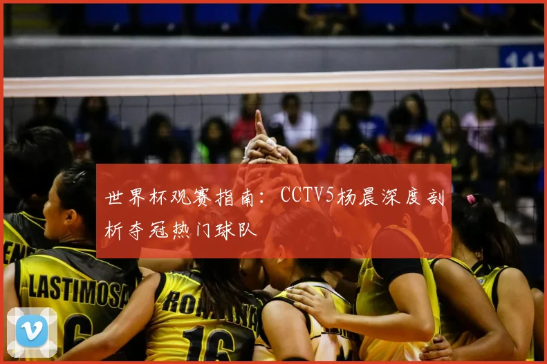世界杯观赛指南：CCTV5杨晨深度剖析夺冠热门球队