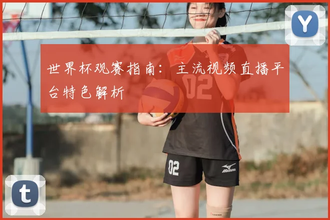 世界杯观赛指南：主流视频直播平台特色解析