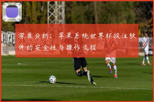 深度分析：苹果系统世界杯投注软件的安全性与操作流程