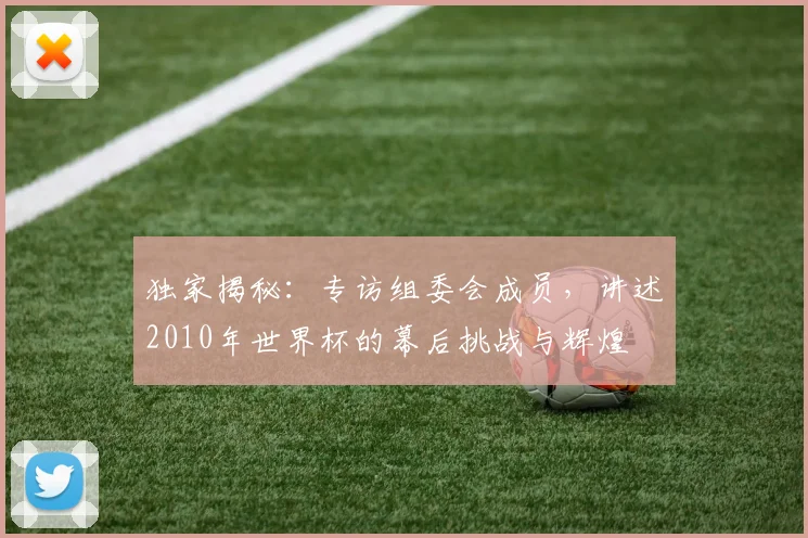 独家揭秘：专访组委会成员，讲述2010年世界杯的幕后挑战与辉煌