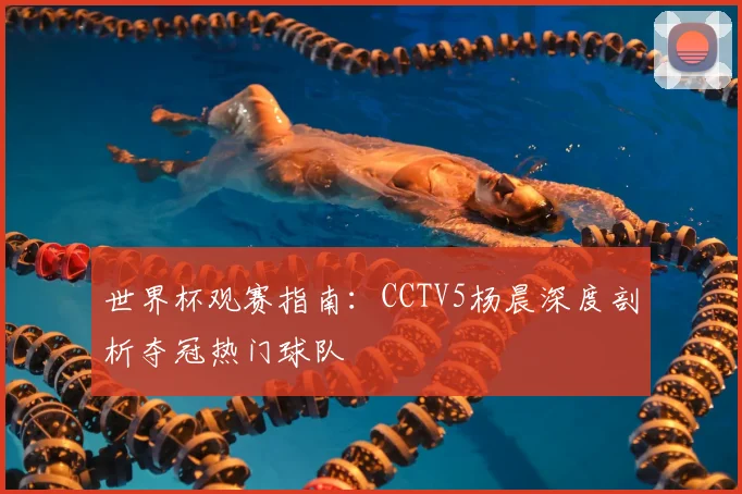 世界杯观赛指南:CCTV5杨晨深度剖析夺冠热门球队