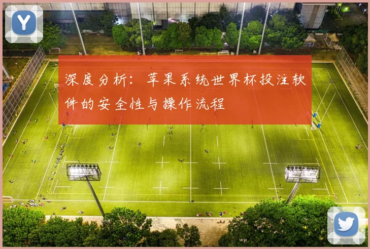 深度分析：苹果系统世界杯投注软件的安全性与操作流程
